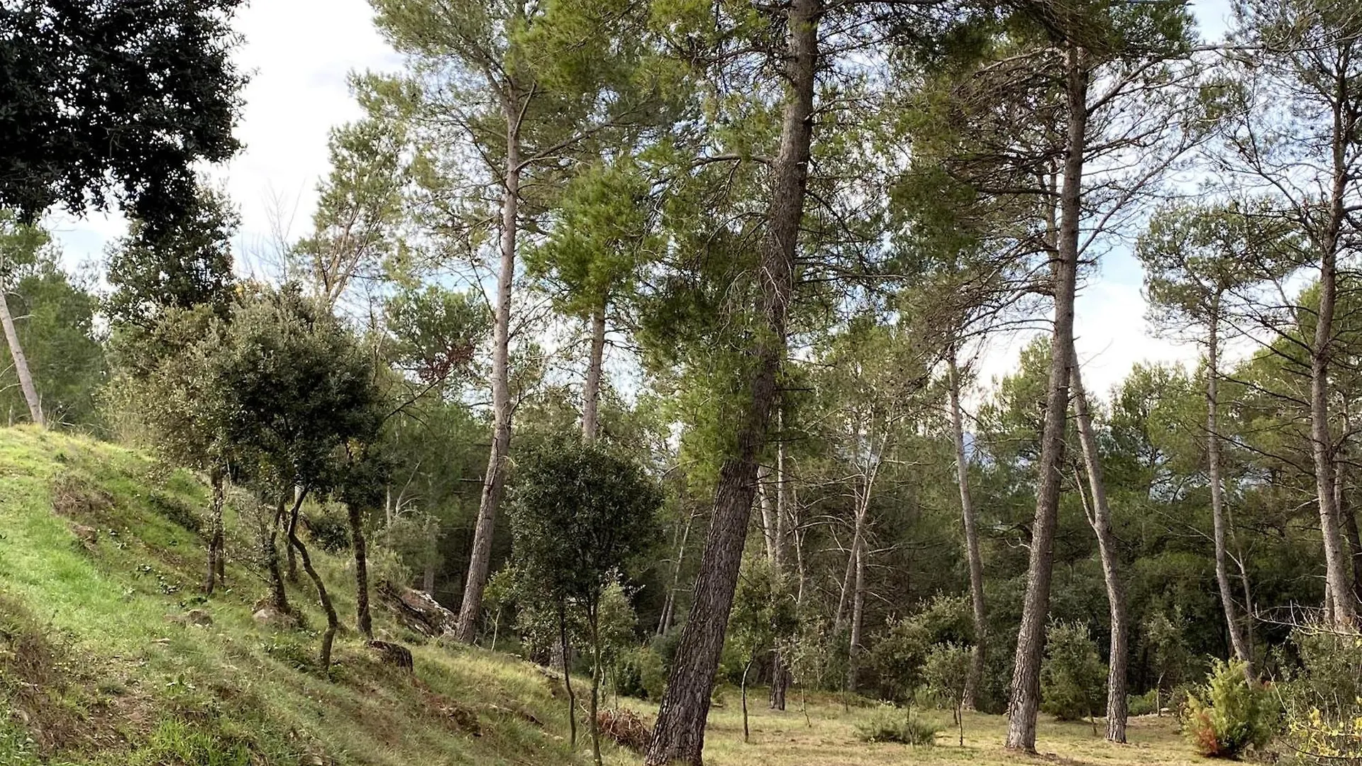 Vila-Seca Vall D'Amunt Aguilar de Segarra